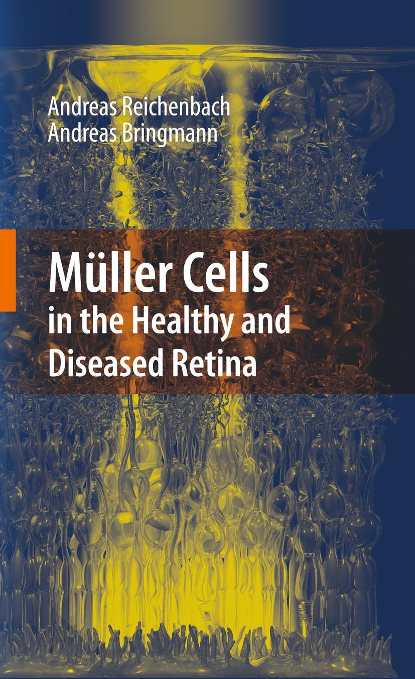 Vorderes Coverbild Müller Cells in the Healthy and Diseased Retina