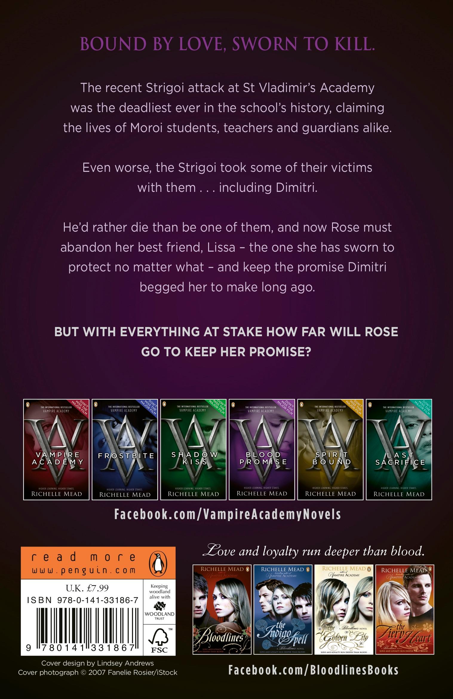 Rückseitencover Vampire Academy: Blood Promise (book 4)