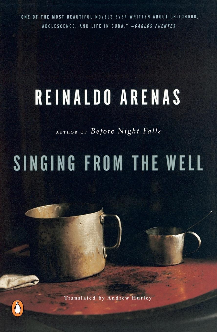 Vorderes Coverbild Singing from the Well
