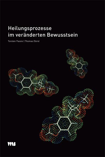 Vorderes Coverbild Heilungsprozesse im veränderten Bewusstsein