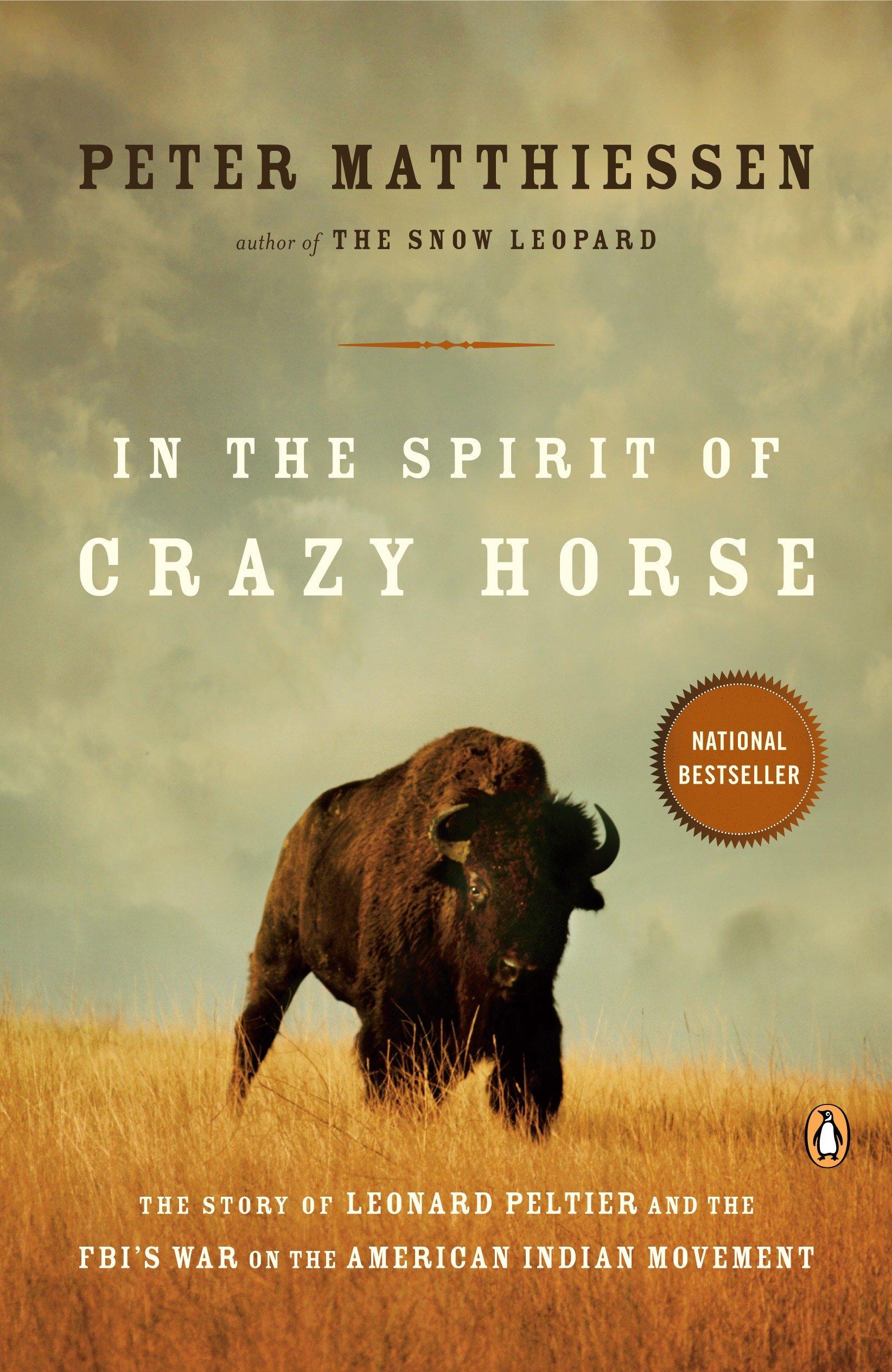 Vorderes Coverbild In the Spirit of Crazy Horse