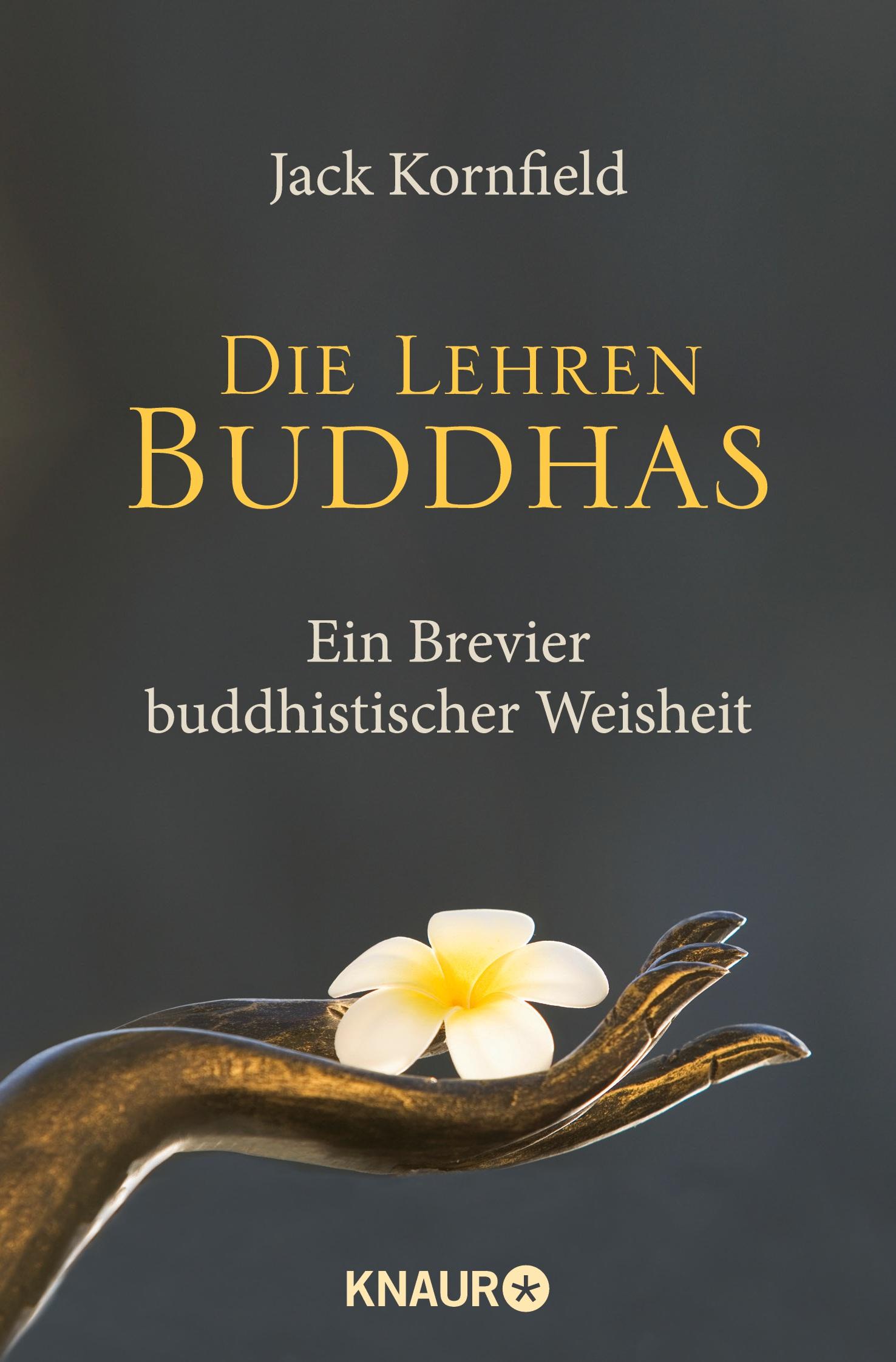 Vorderes Coverbild Die Lehren Buddhas