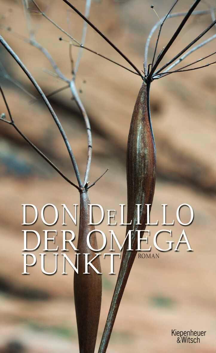 Vorderes Coverbild Der Omega-Punkt