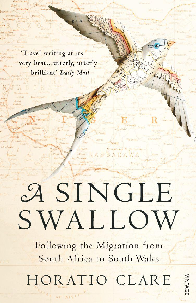 Vorderes Coverbild A Single Swallow