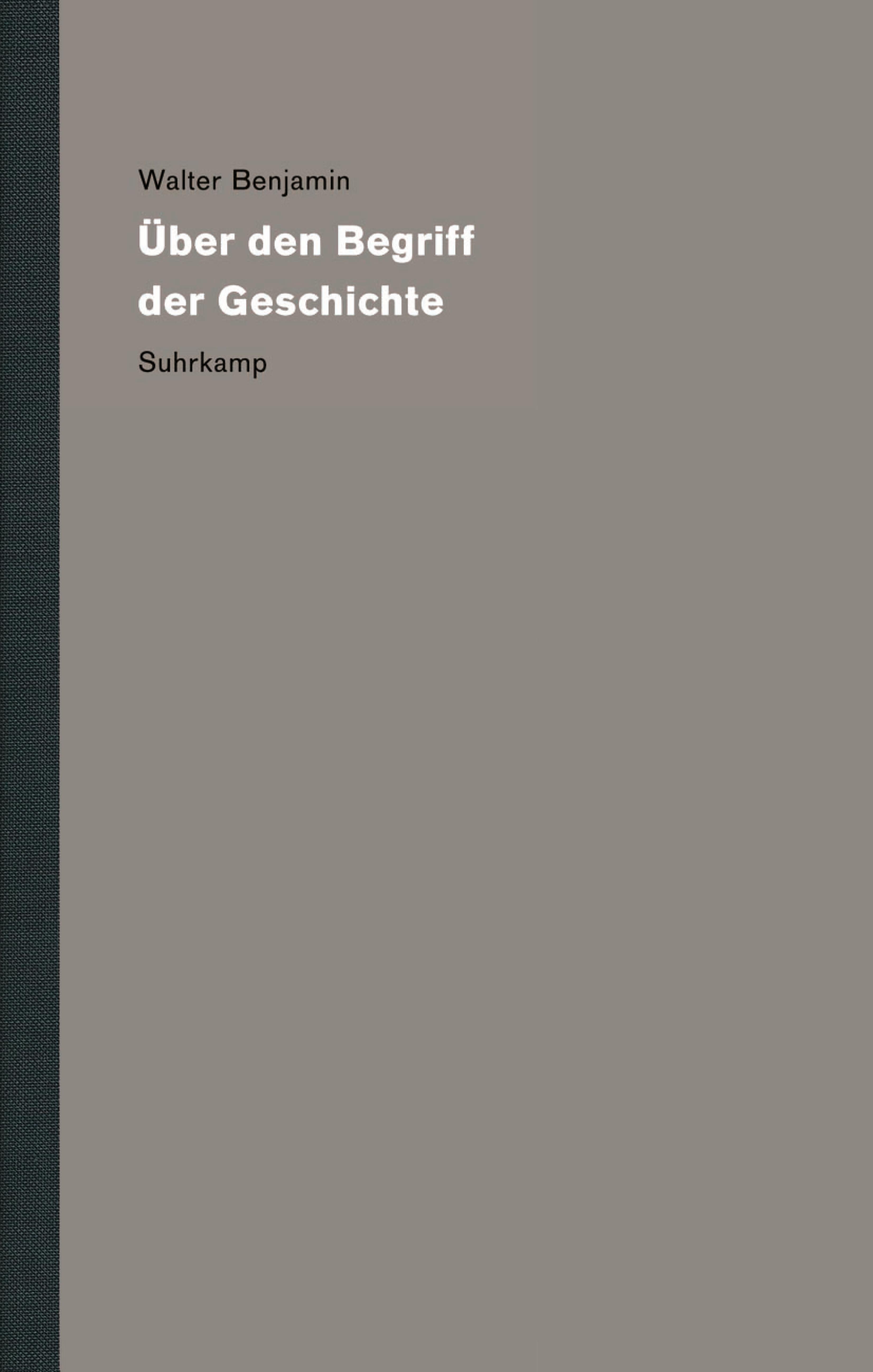 Vorderes Coverbild Werke und Nachlaß. Kritische Gesamtausgabe 19