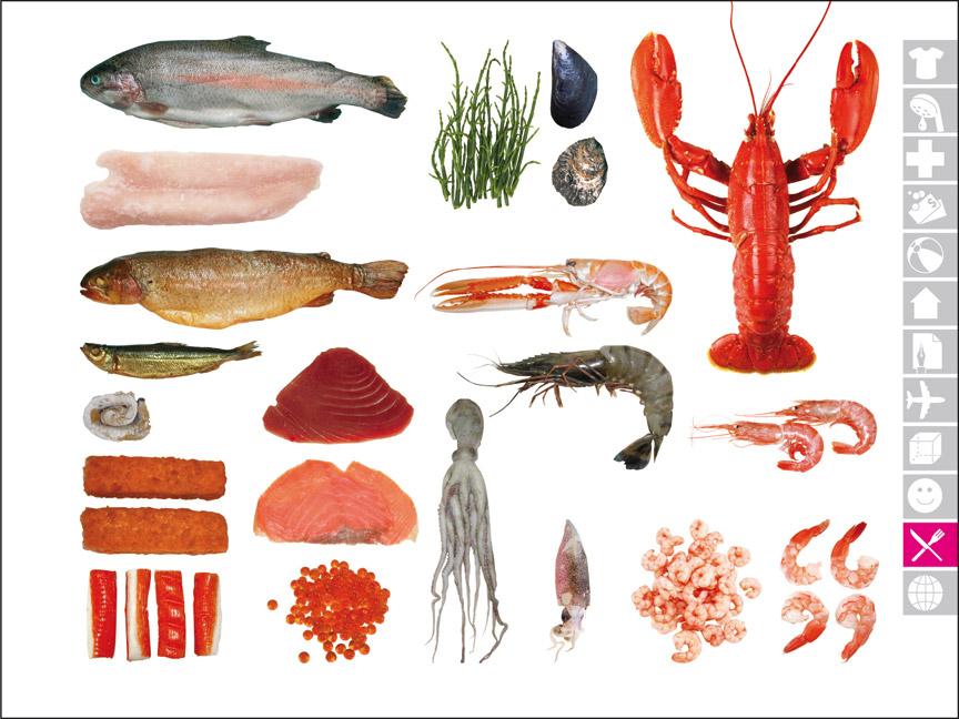 Beispielinhalt (Bild) ICOON communicator