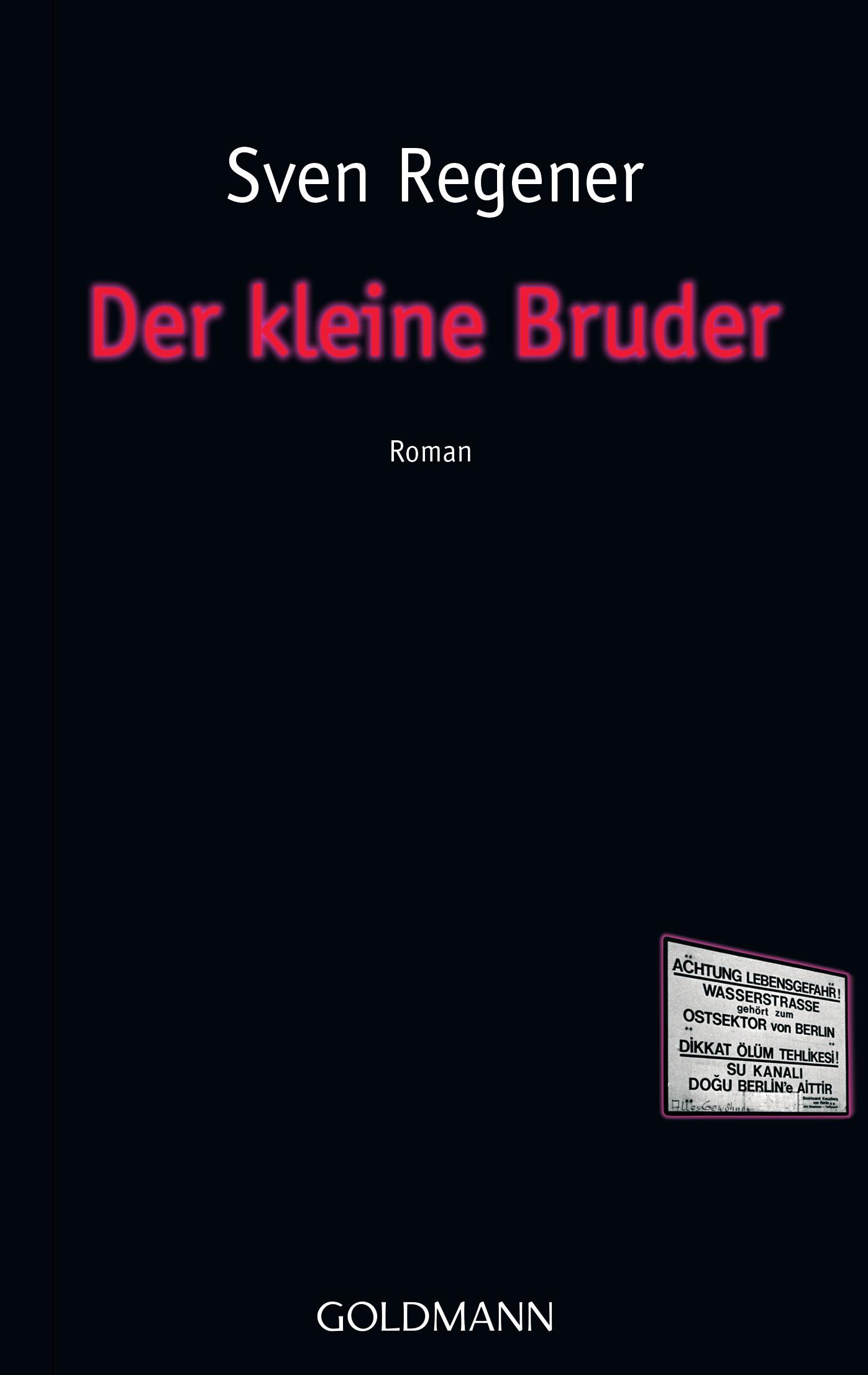 Vorderes Coverbild Der kleine Bruder