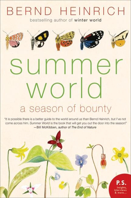 Vorderes Coverbild Summer World