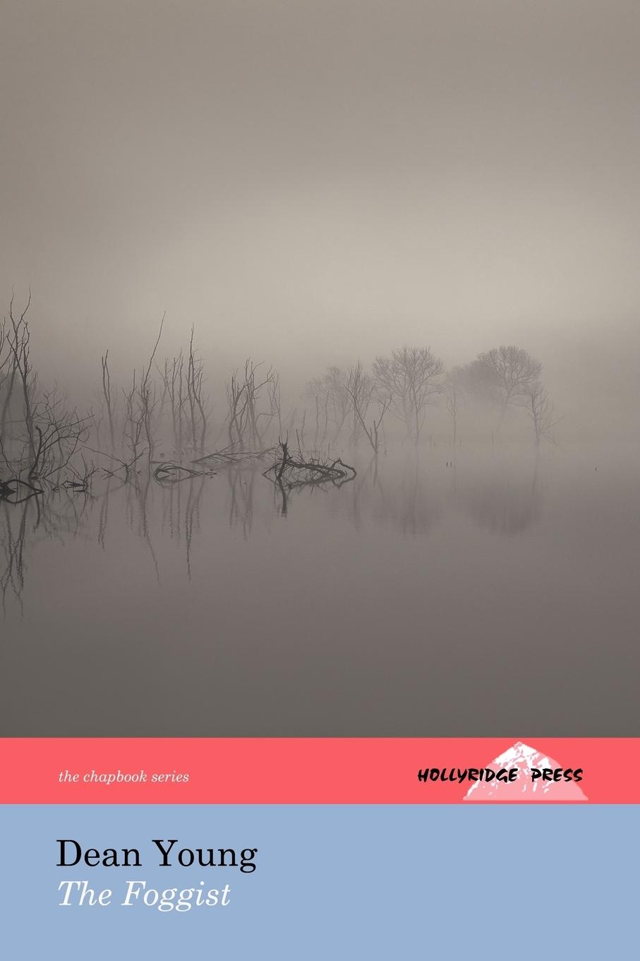Vorderes Coverbild The Foggist