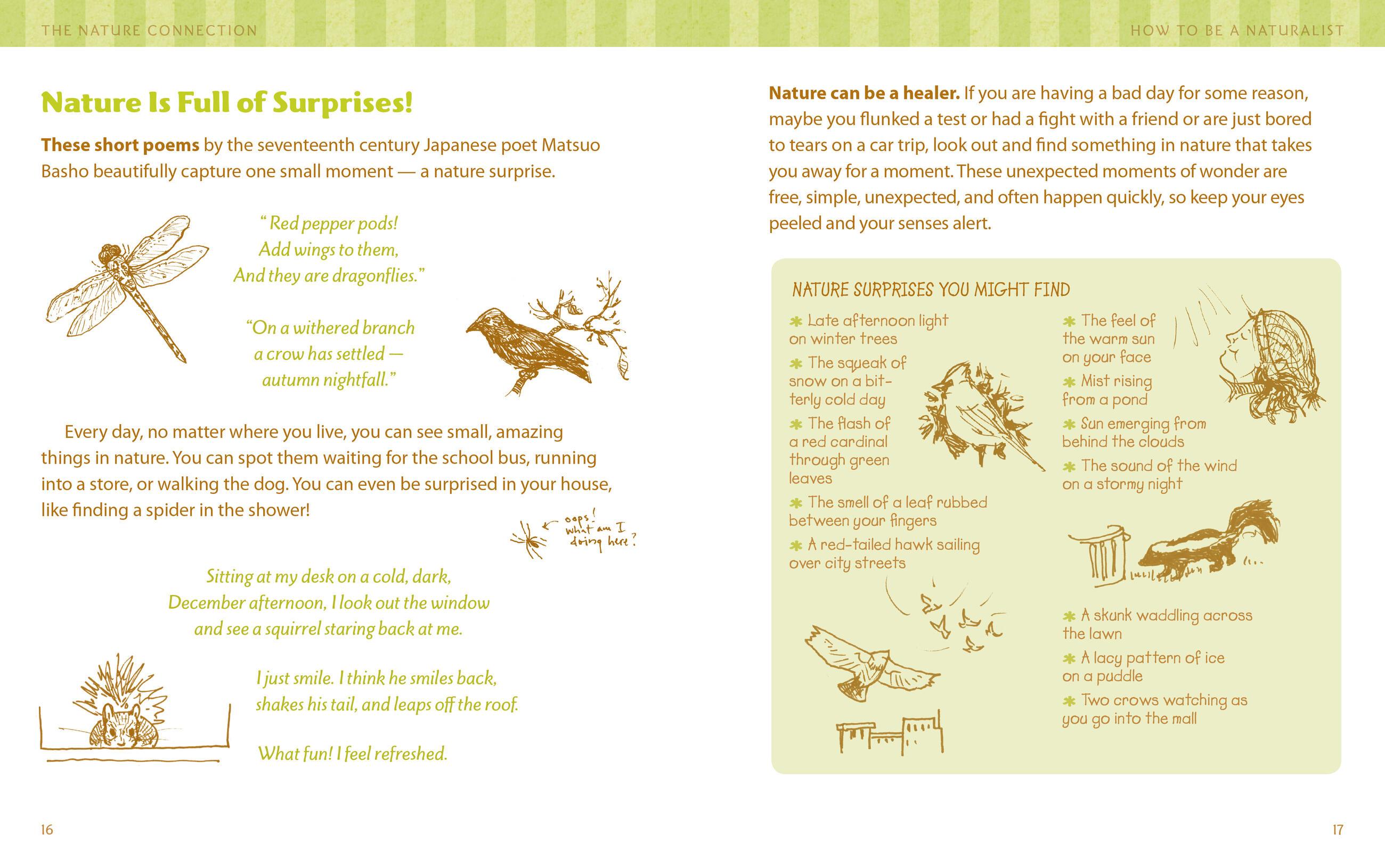 Beispielinhalt (Bild) The Nature Connection