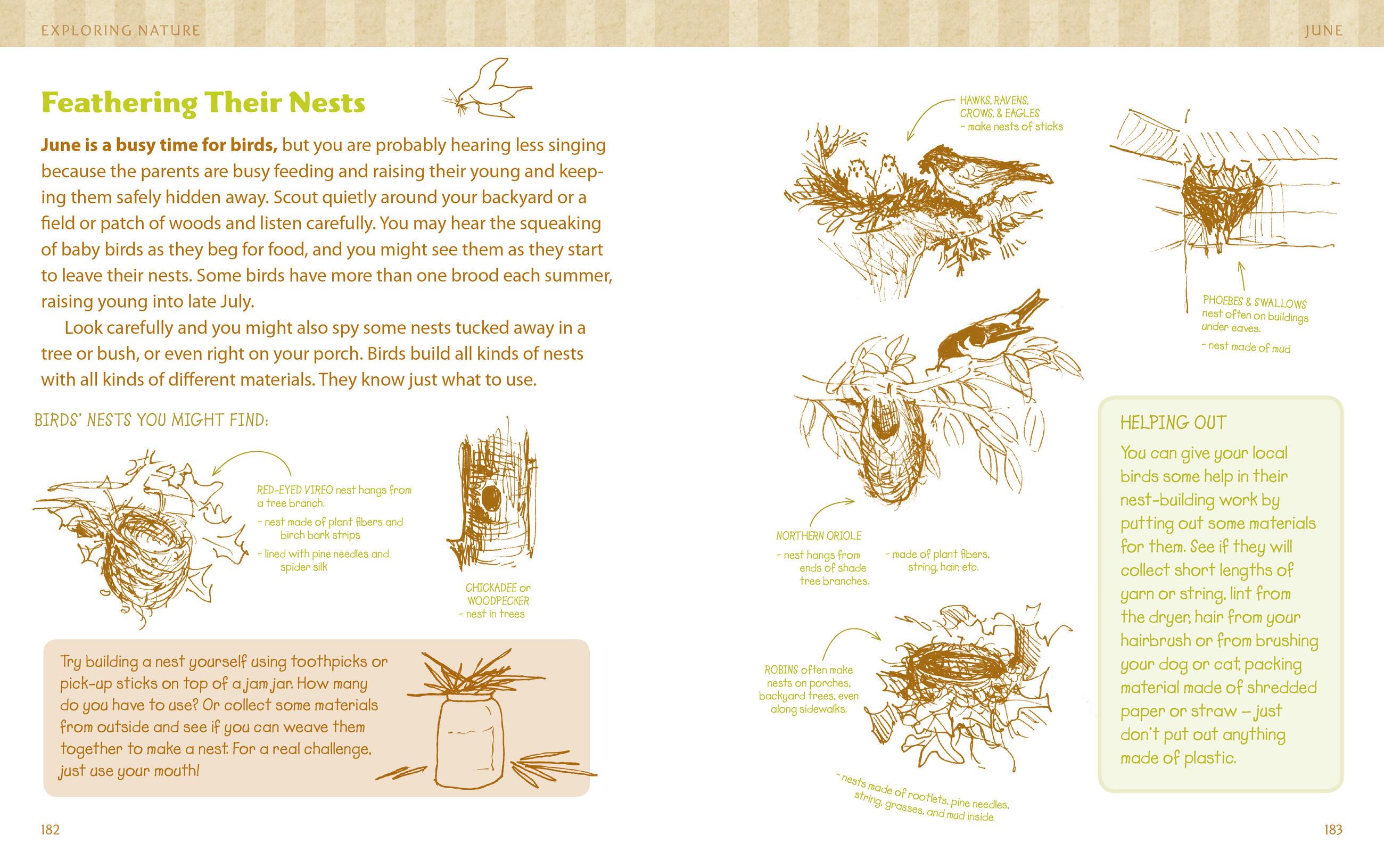 Beispielinhalt (Bild) The Nature Connection