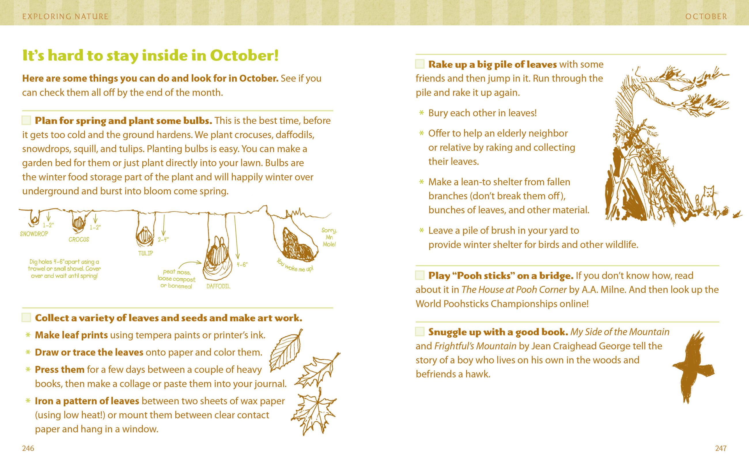 Beispielinhalt (Bild) The Nature Connection