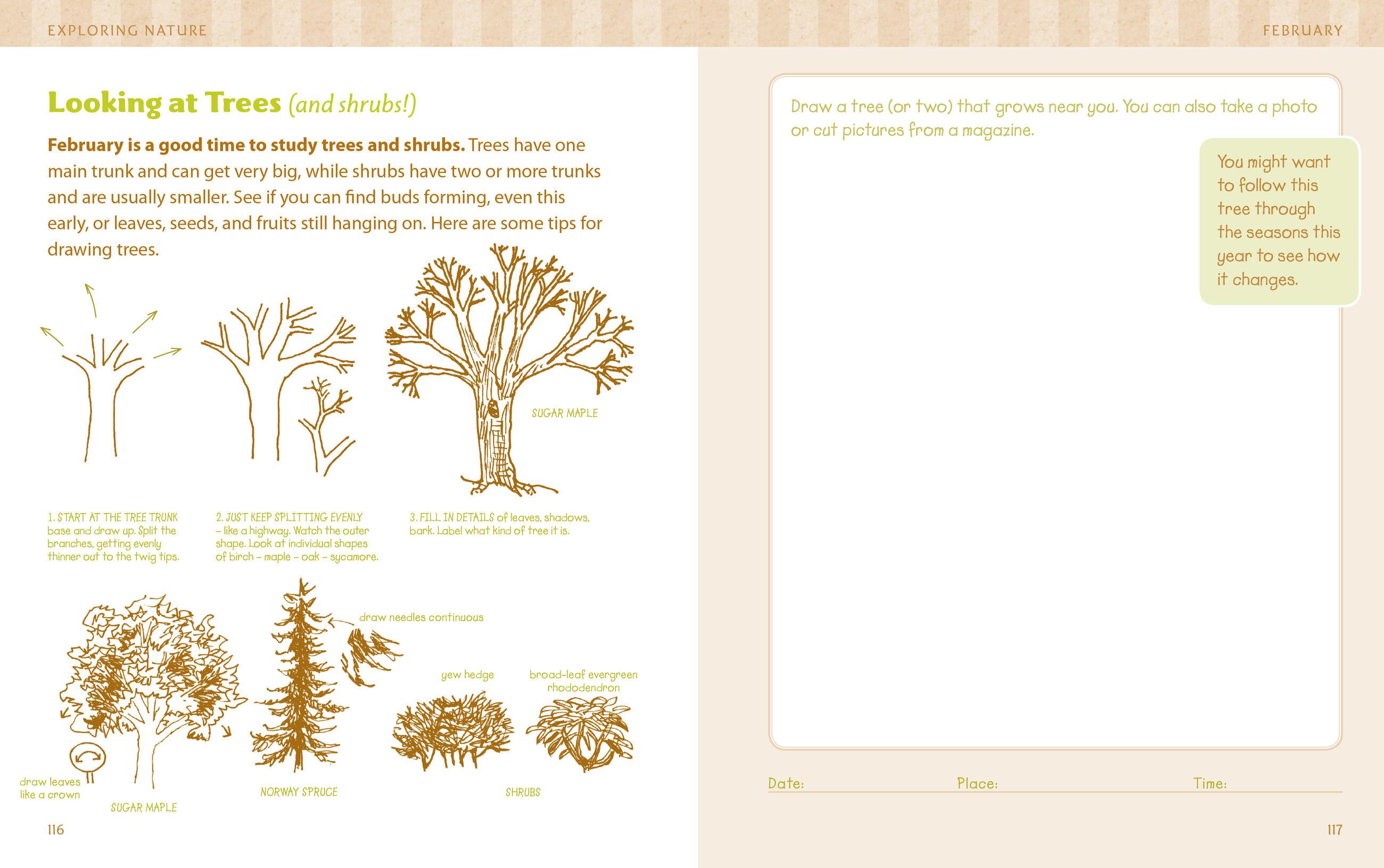 Beispielinhalt (Bild) The Nature Connection