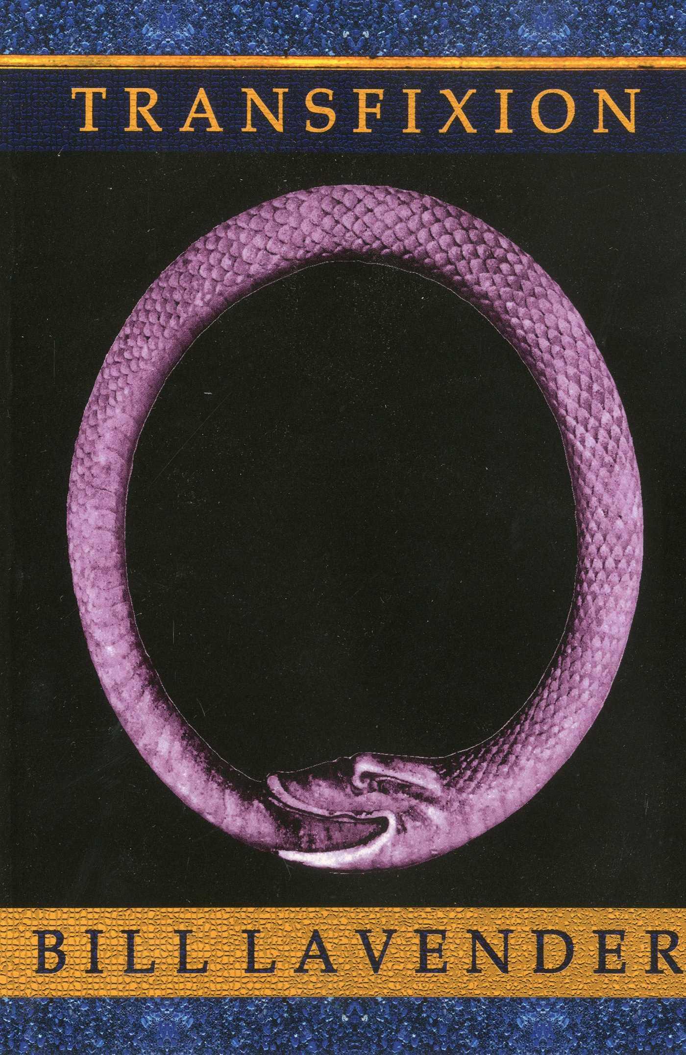 Vorderes Coverbild Transfixion