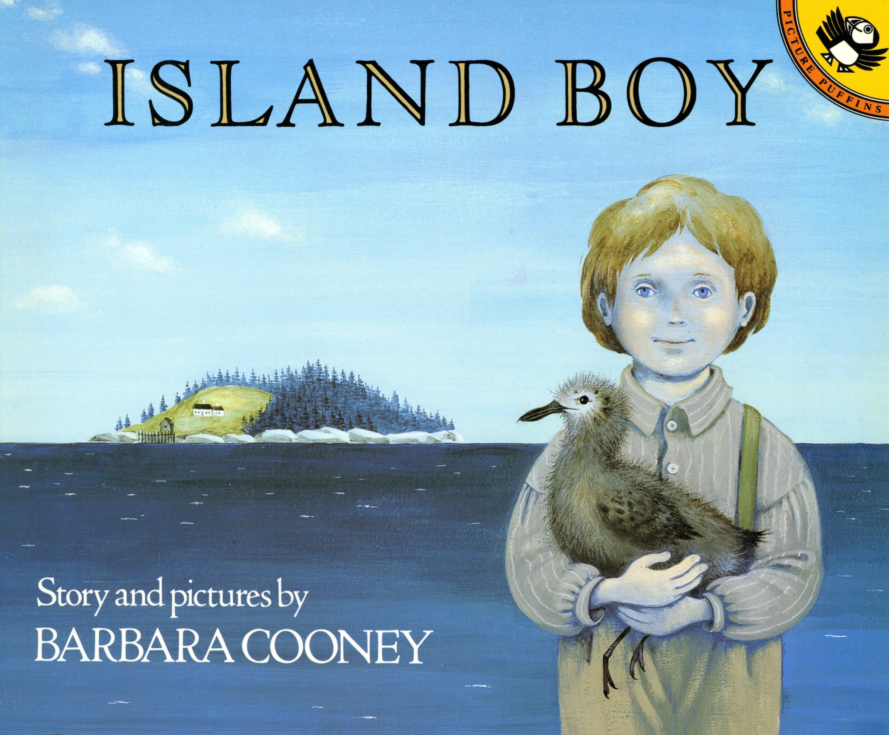 Vorderes Coverbild Island Boy