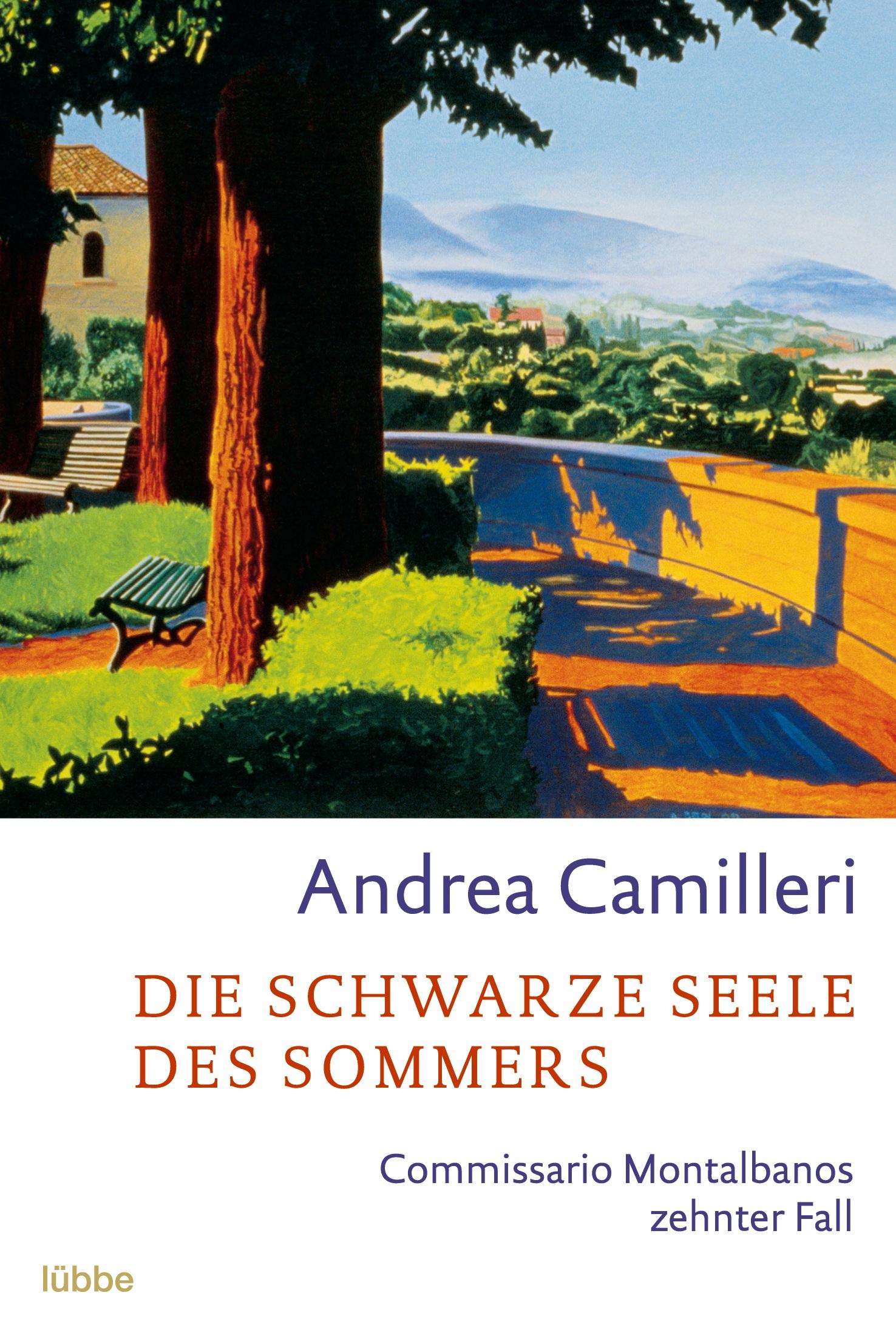 Vorderes Coverbild Die schwarze Seele des Sommers