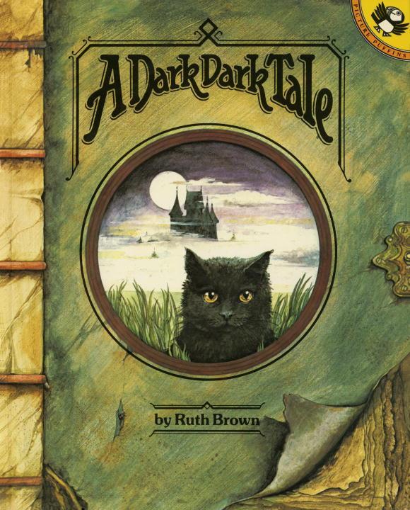 Vorderes Coverbild A Dark, Dark Tale