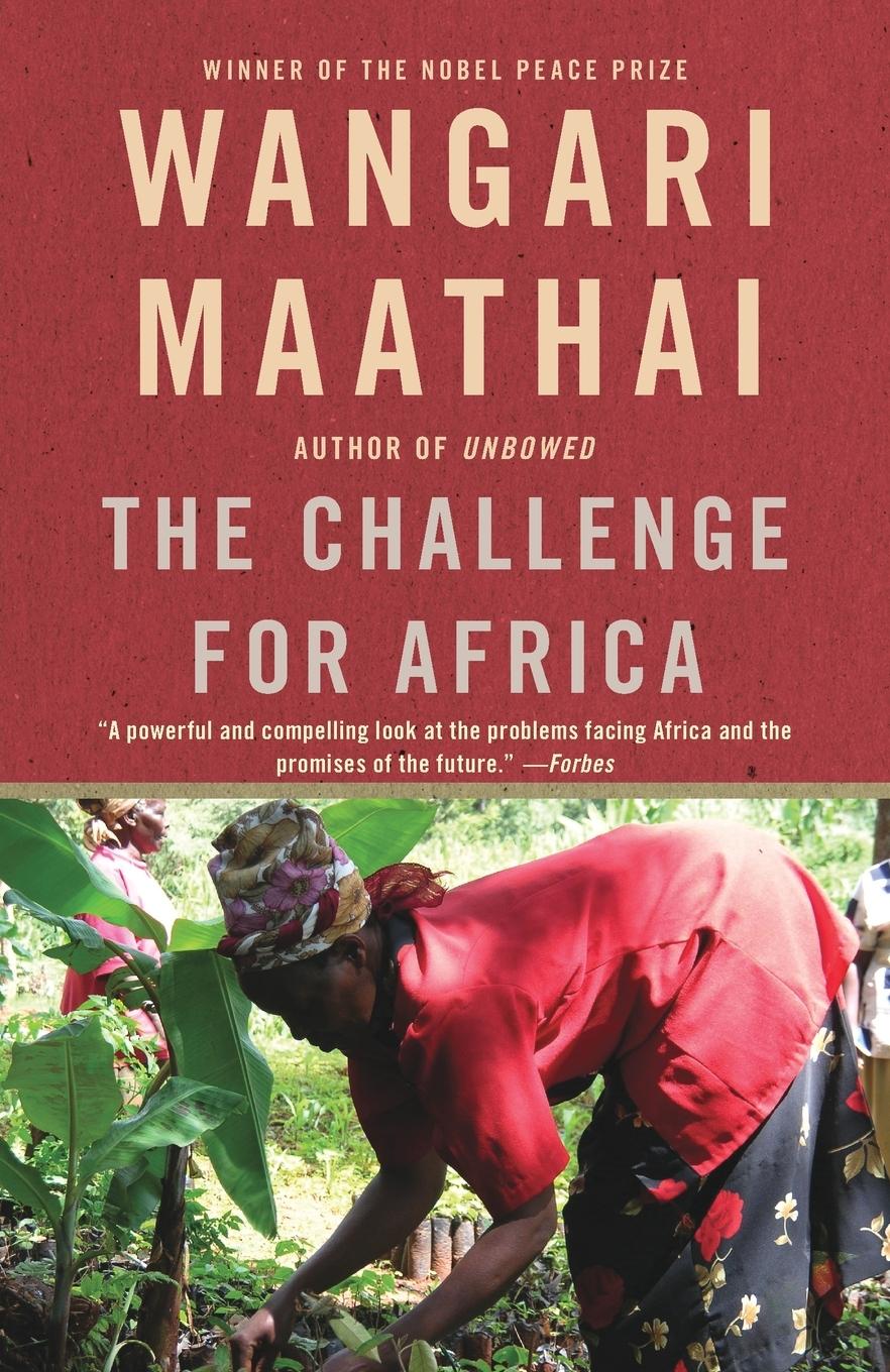 Vorderes Coverbild The Challenge for Africa