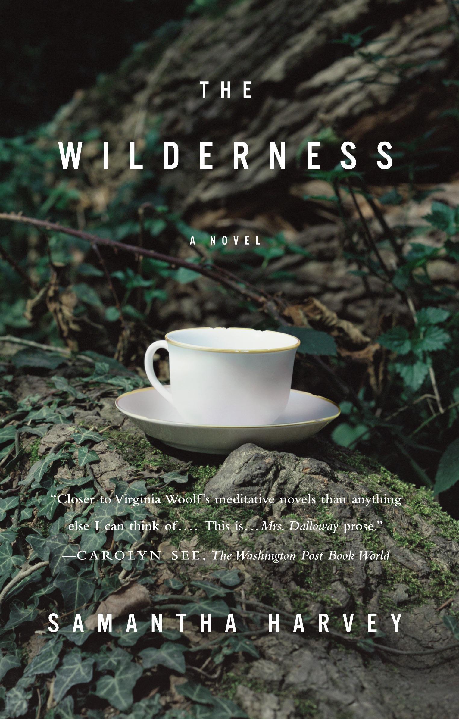 Vorderes Coverbild The Wilderness