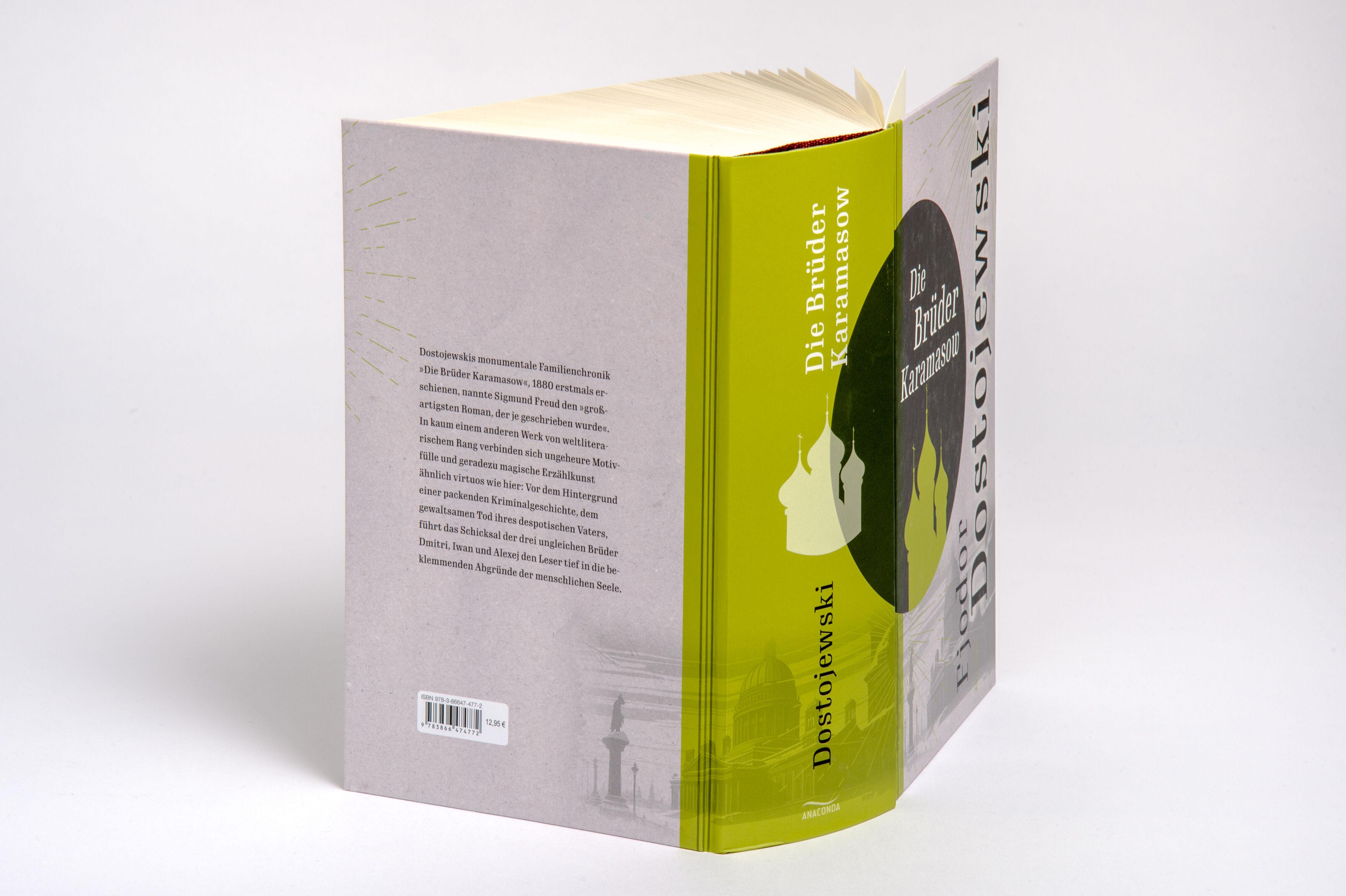 Beispielinhalt (Bild) Die Brüder Karamasow