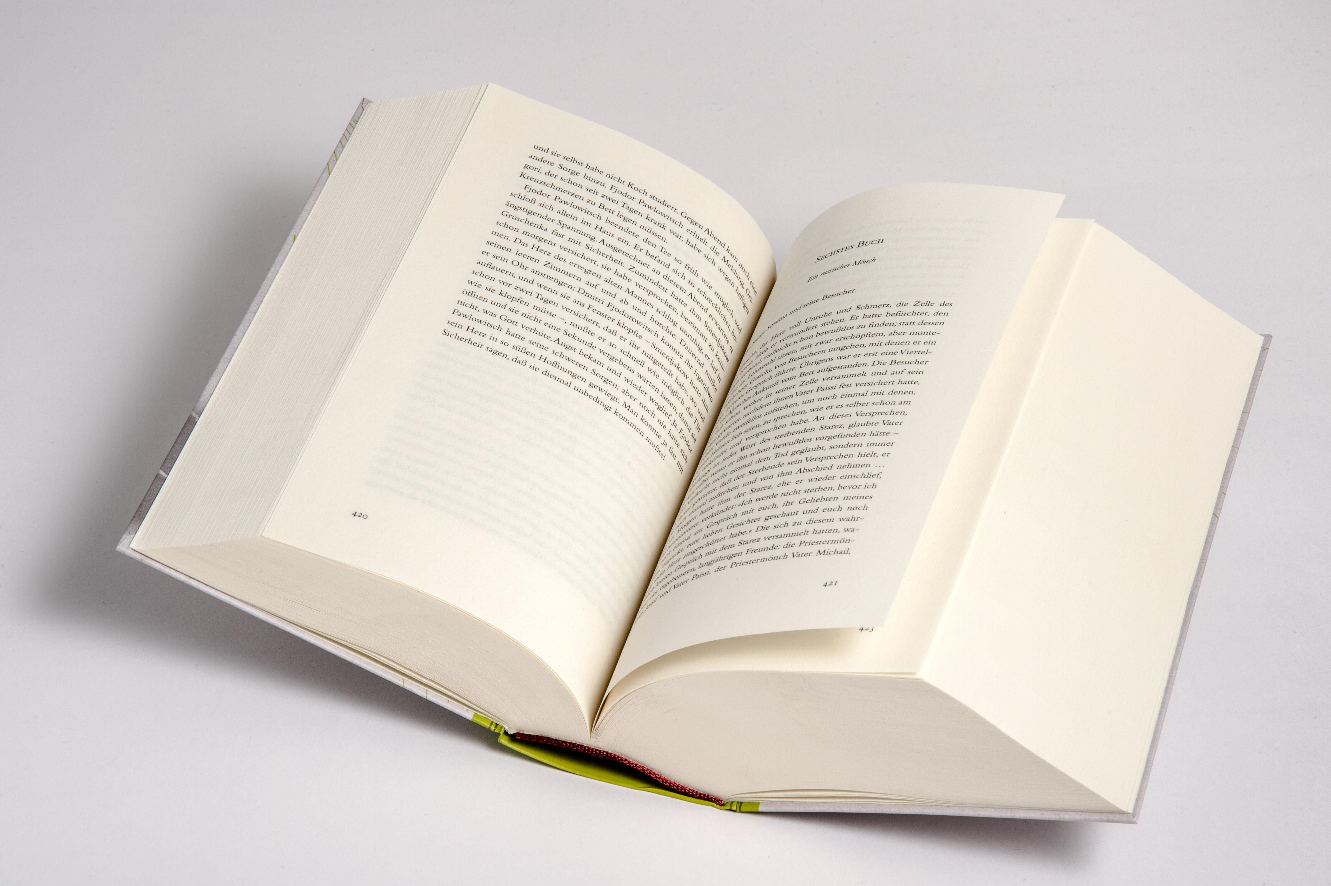 Beispielinhalt (Bild) Die Brüder Karamasow