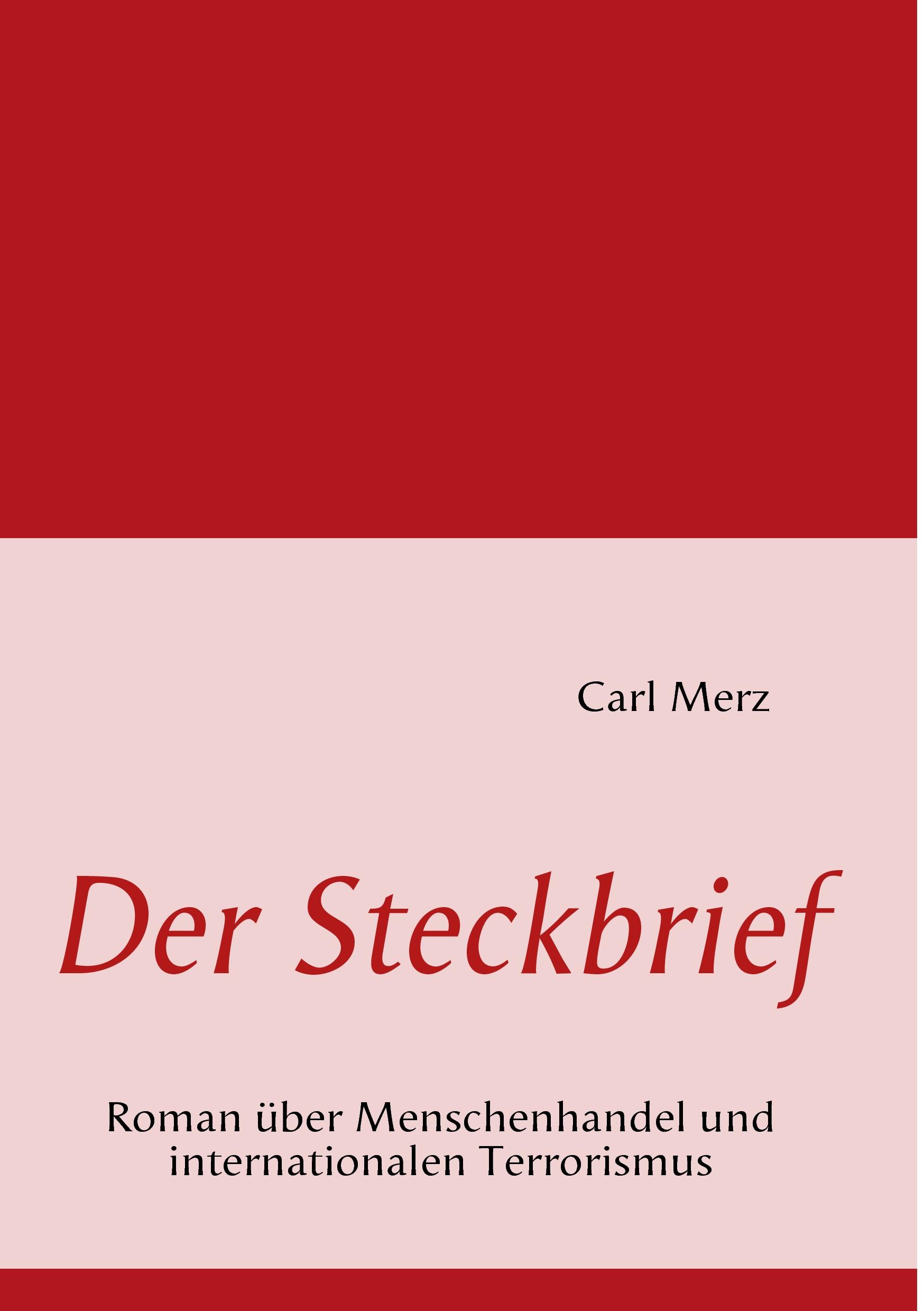 Vorderes Coverbild Der Steckbrief
