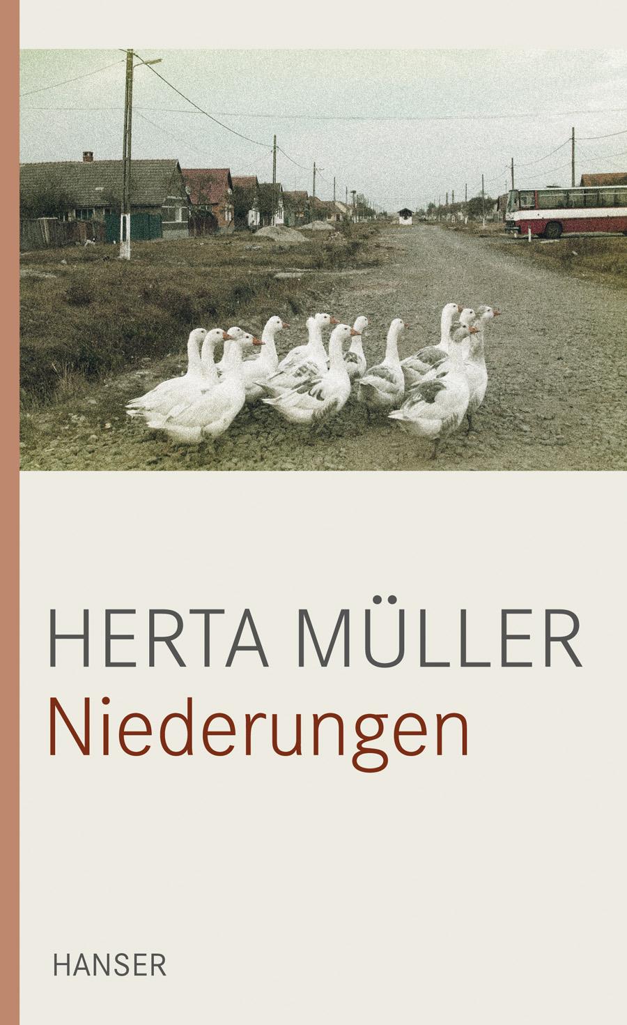 Vorderes Coverbild Niederungen