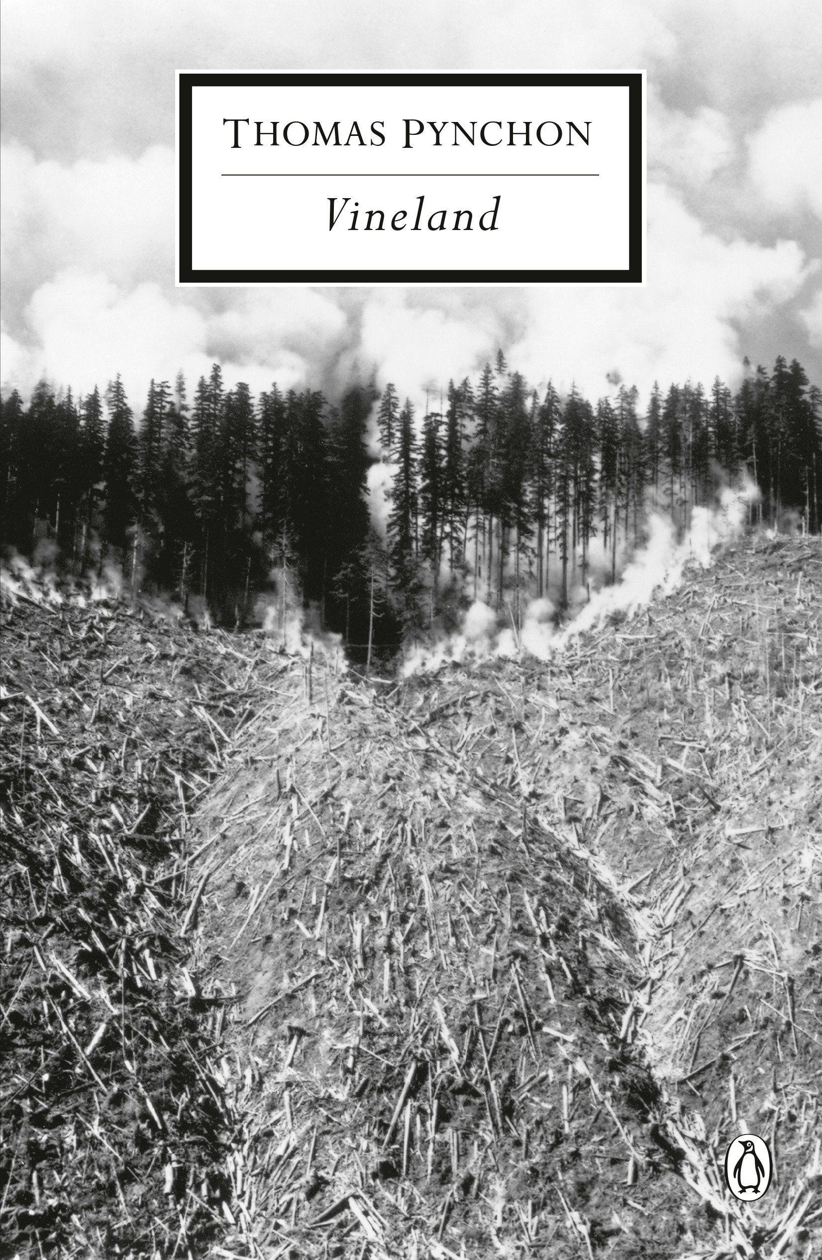 Vorderes Coverbild Vineland