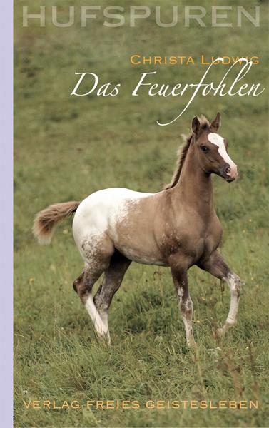 Vorderes Coverbild Hufspuren. Das  Feuerfohlen