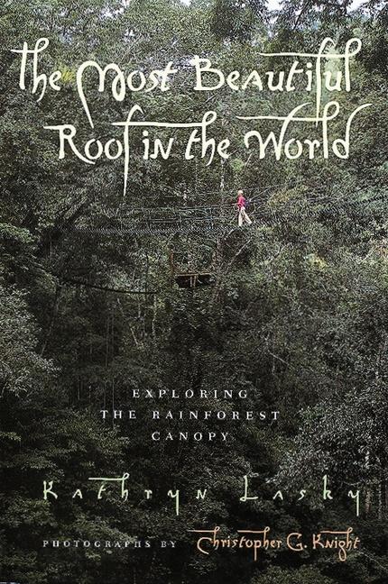 Vorderes Coverbild The Most Beautiful Roof in the World