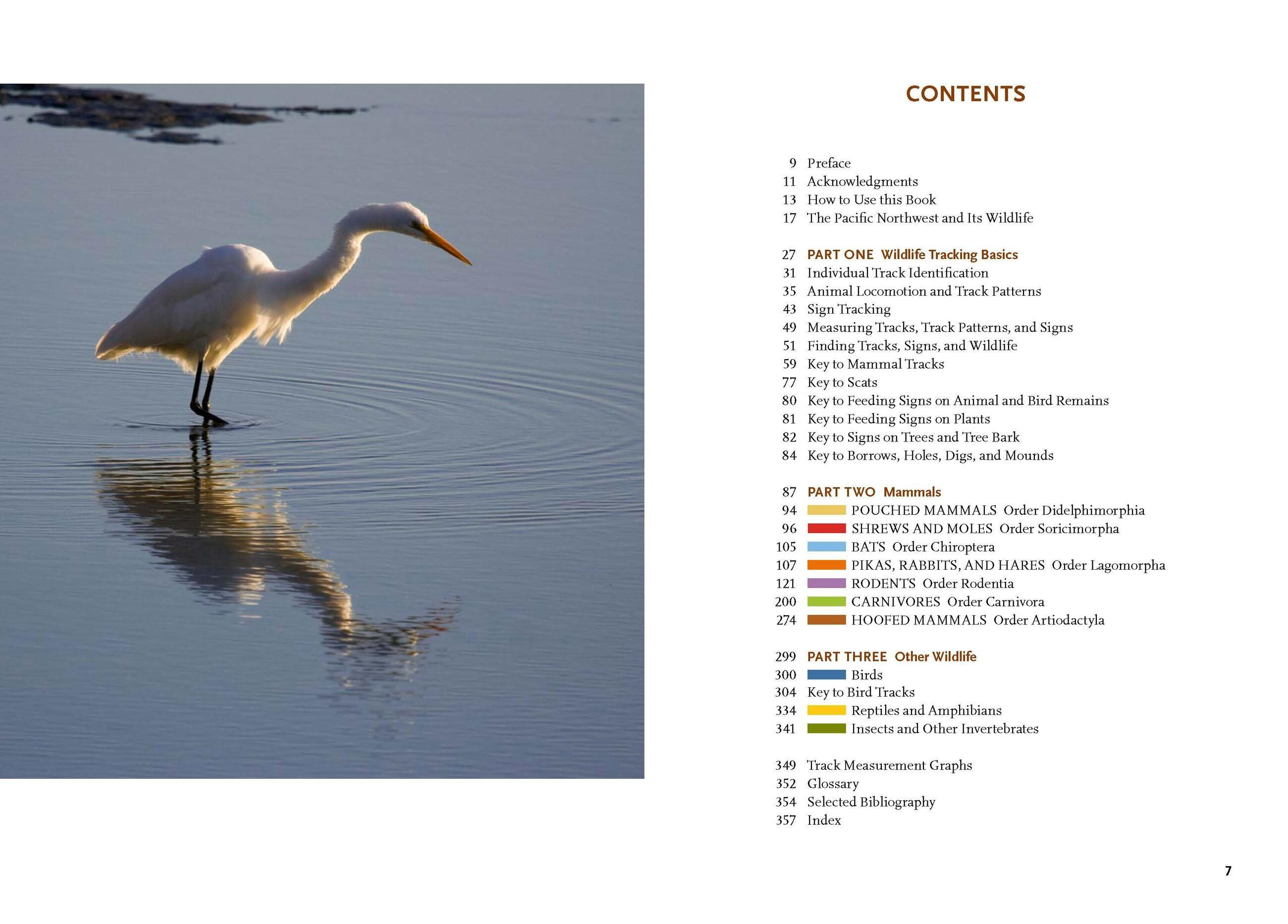 Beispielinhalt (Bild) Wildlife of the Pacific Northwest