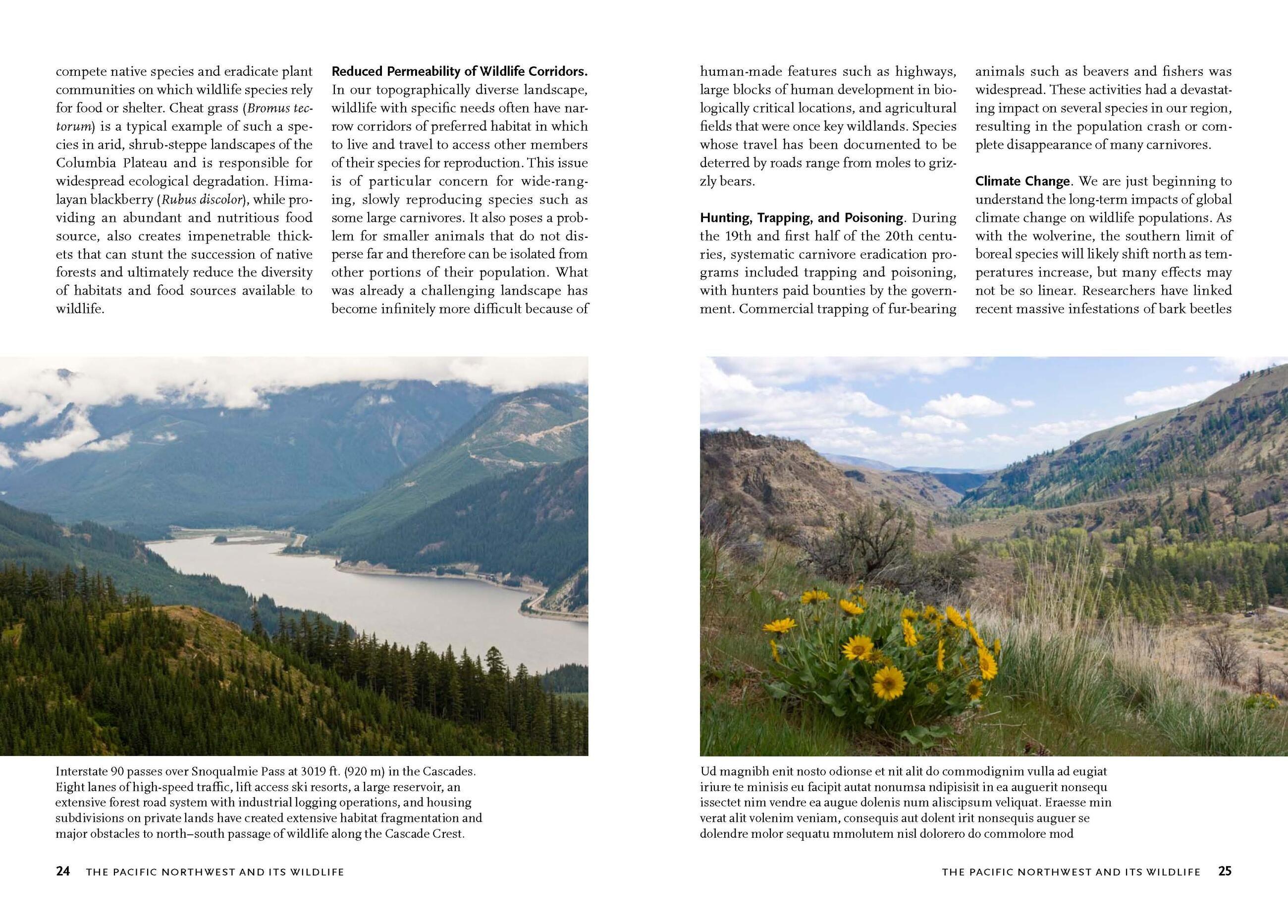 Beispielinhalt (Bild) Wildlife of the Pacific Northwest