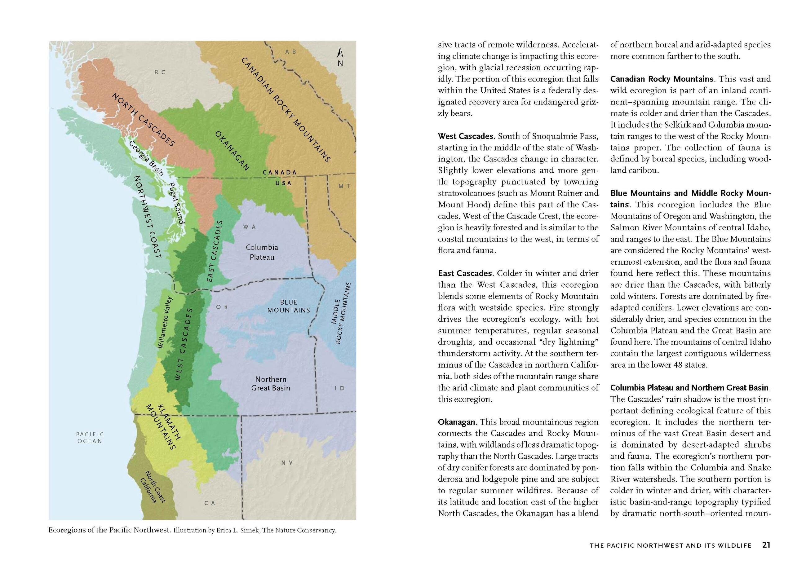 Beispielinhalt (Bild) Wildlife of the Pacific Northwest