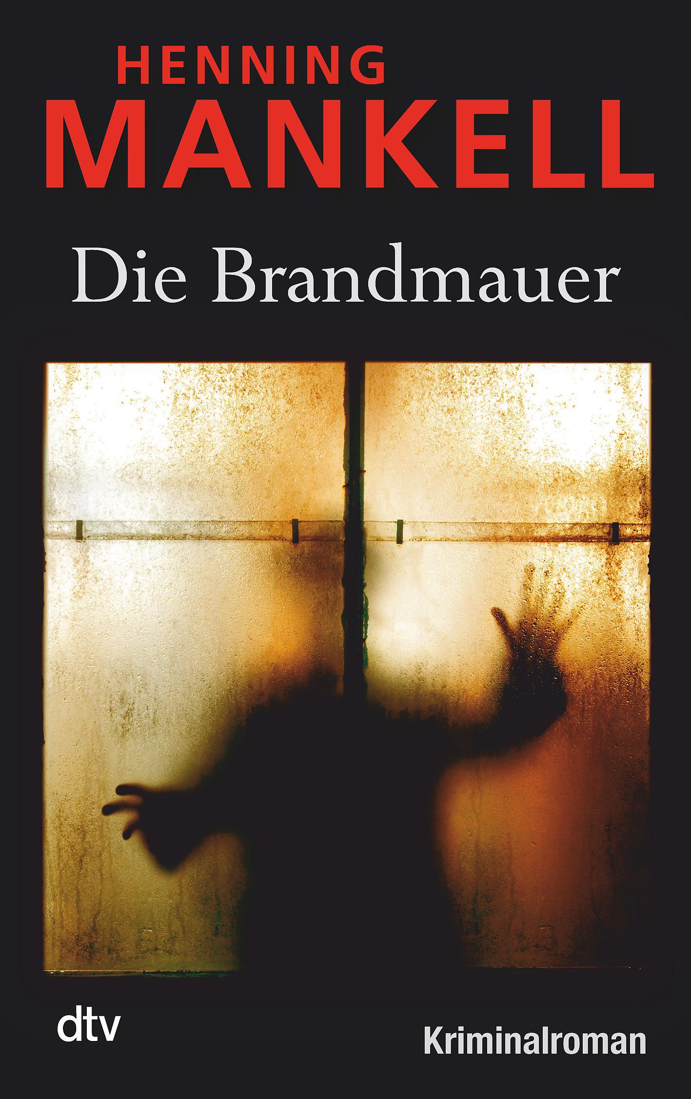 Vorderes Coverbild Die Brandmauer
