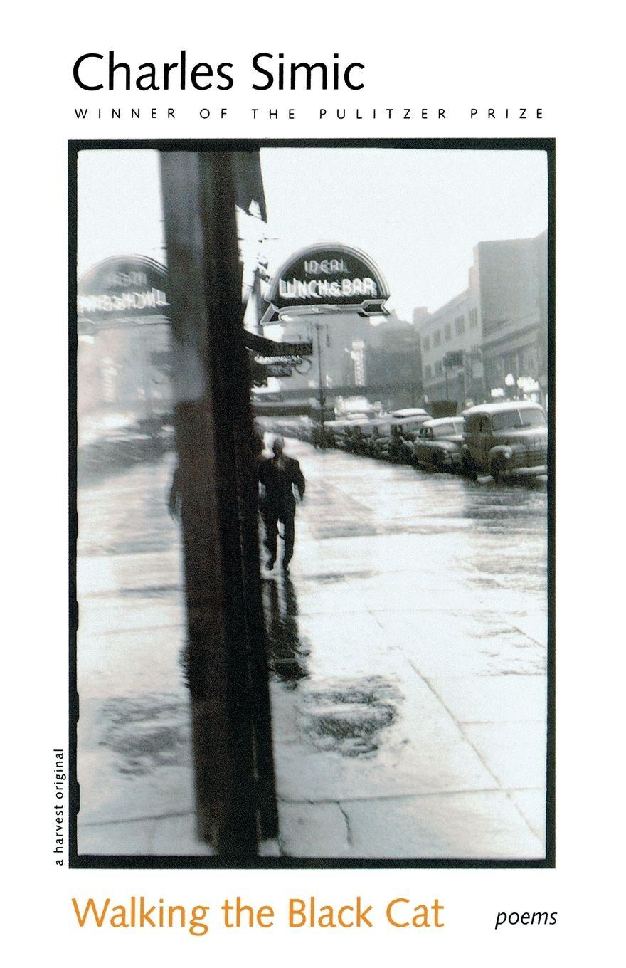 Vorderes Coverbild Walking the Black Cat