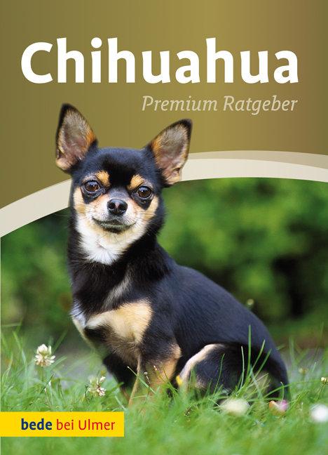 Vorderes Coverbild Chihuahua