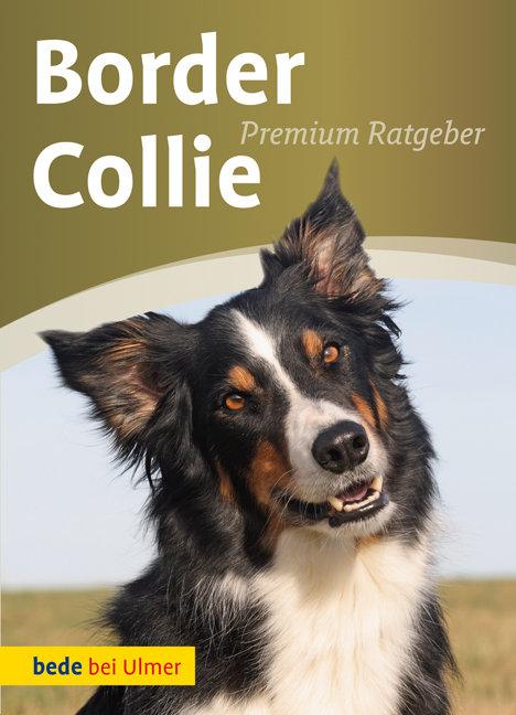 Vorderes Coverbild Border Collie