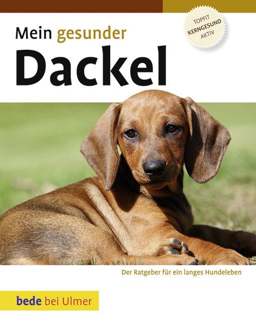 Vorderes Coverbild Mein gesunder Dackel