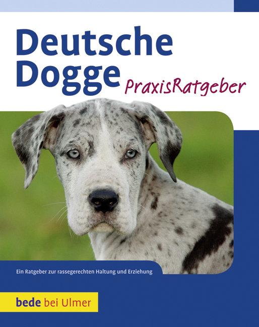 Vorderes Coverbild Deutsche Dogge Praxisratgeber