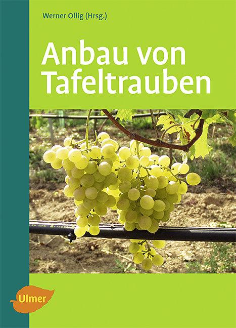 Vorderes Coverbild Anbau von Tafeltrauben