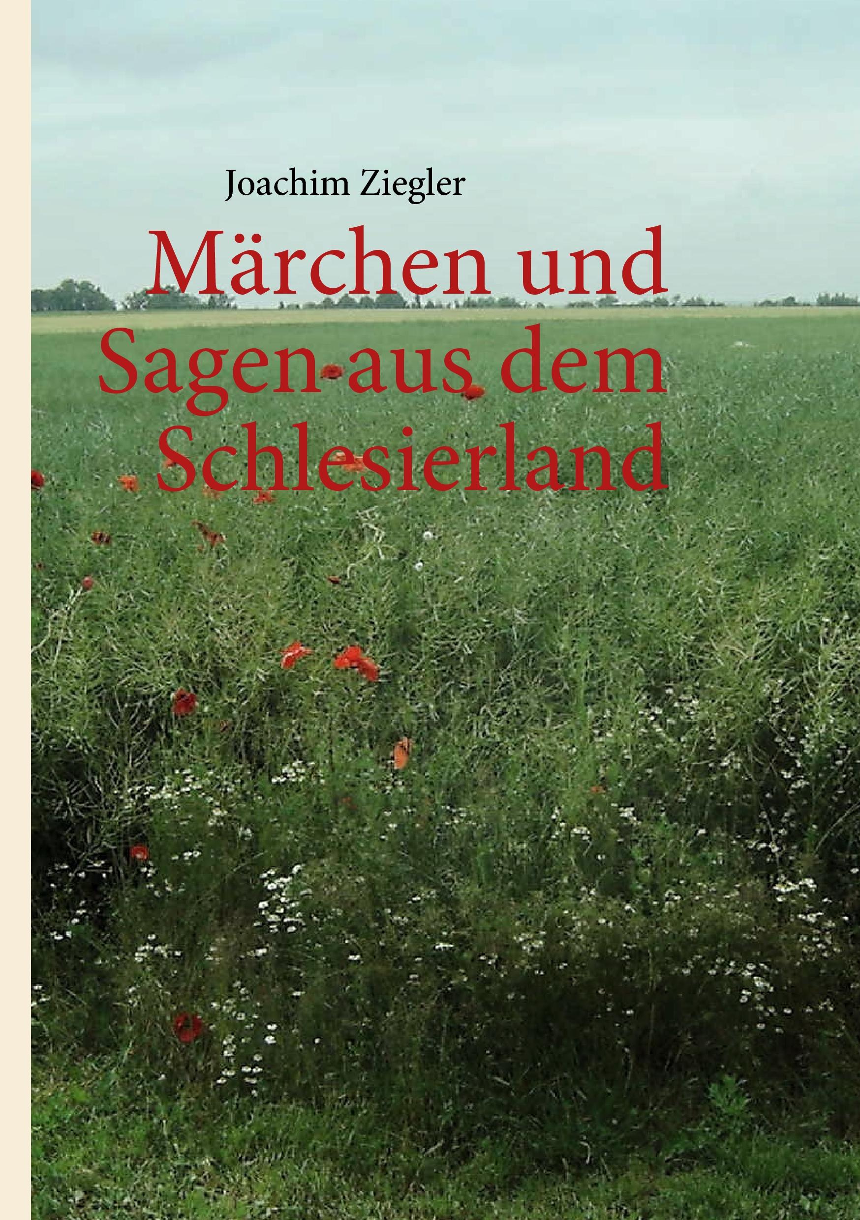 Vorderes Coverbild Märchen und Sagen aus dem Schlesierland