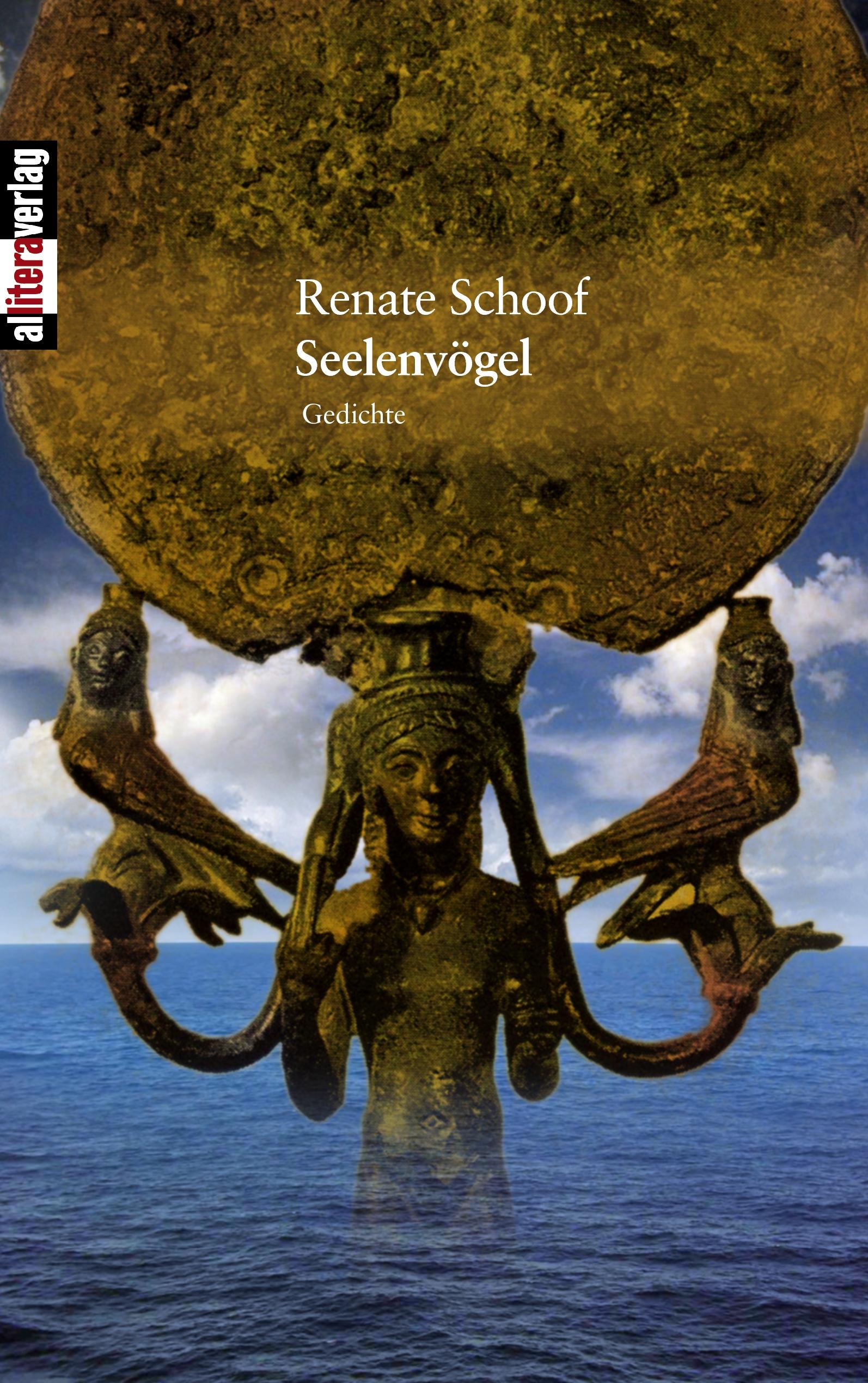 Vorderes Coverbild Seelenvögel