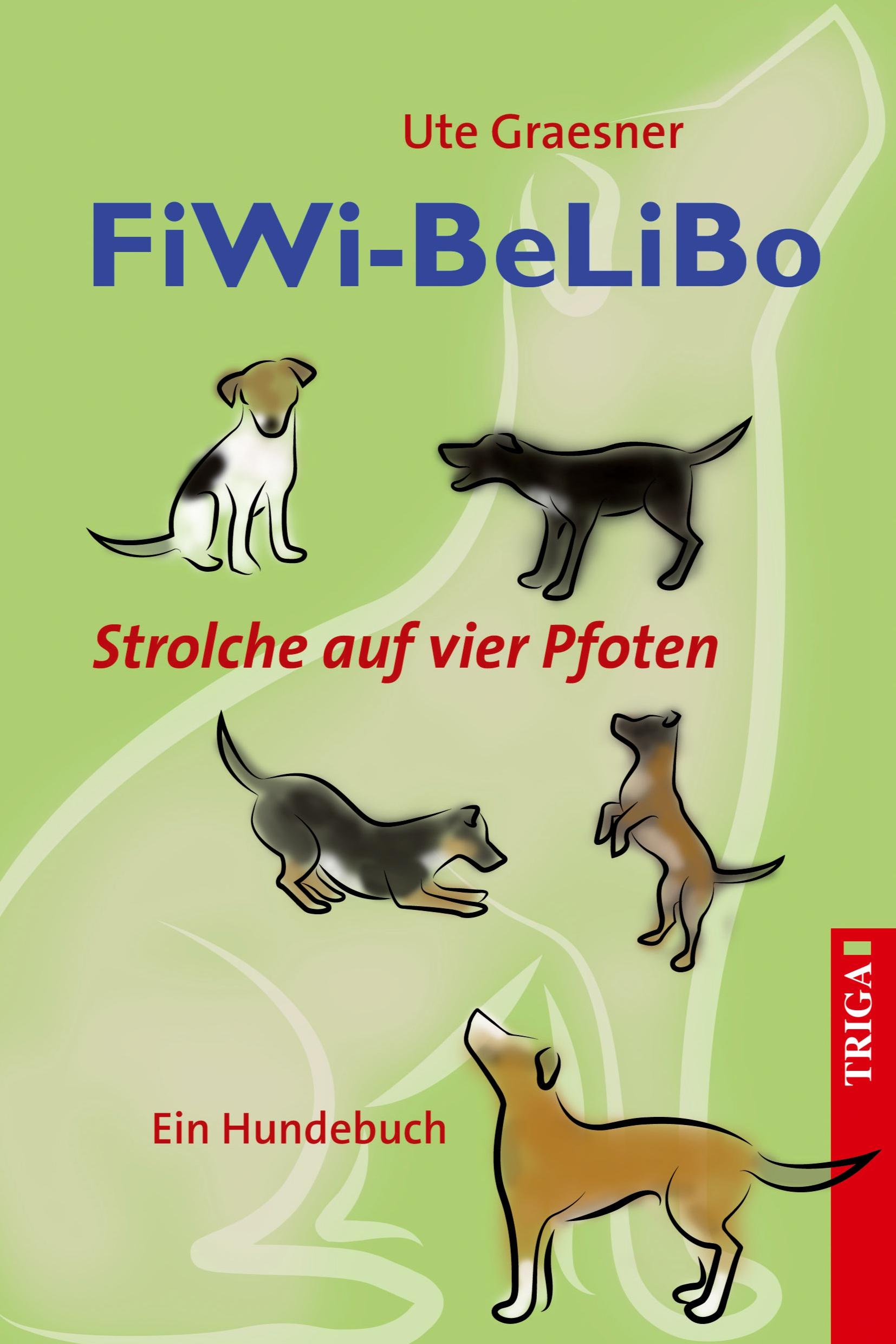 Vorderes Coverbild FiWi-BeLiBo