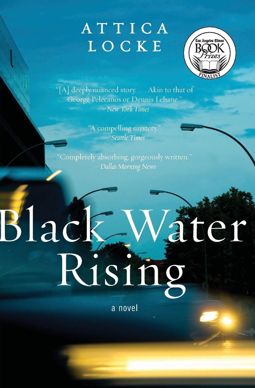 Vorderes Coverbild Black Water Rising (Harper Perennial)