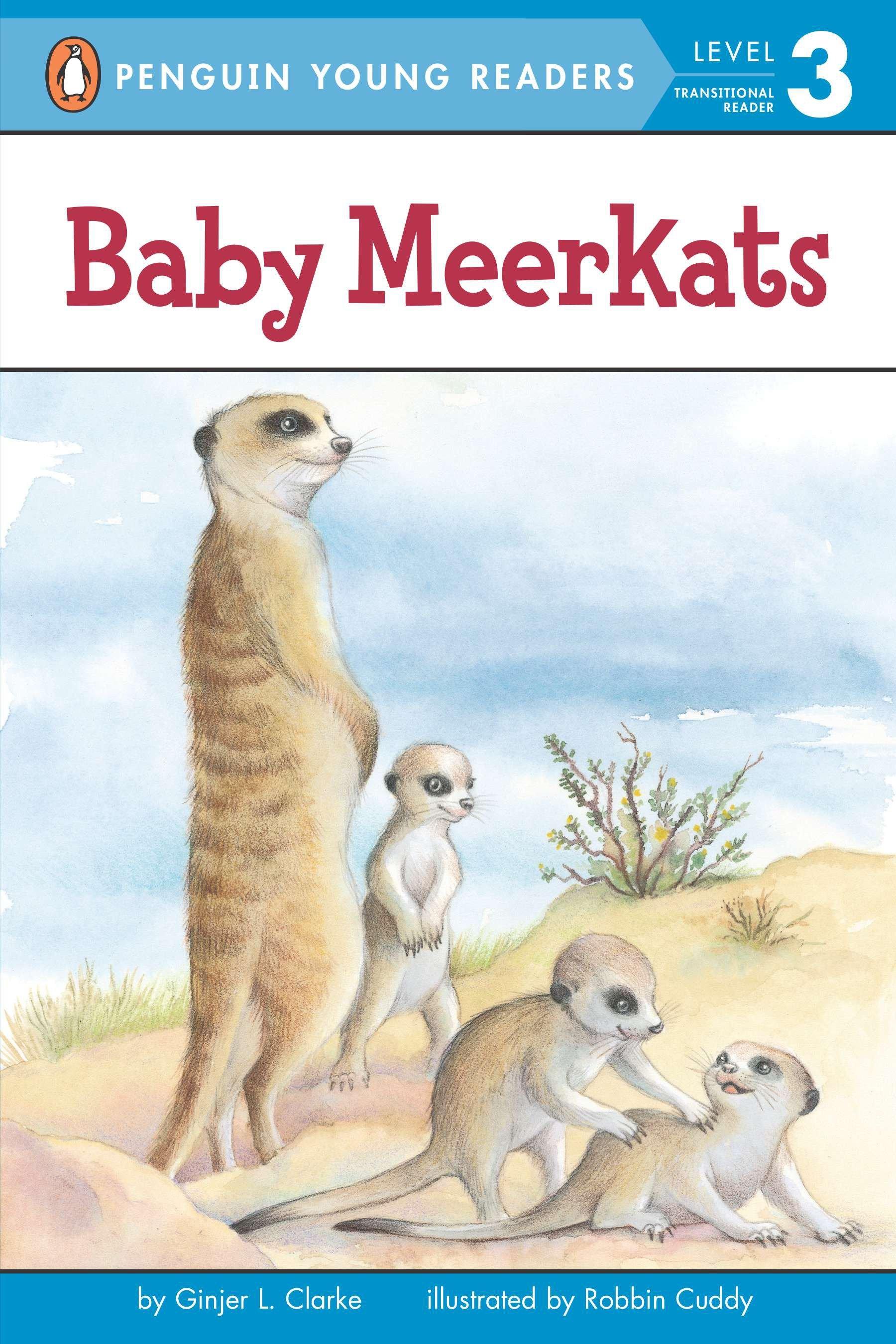 Vorderes Coverbild Baby Meerkats