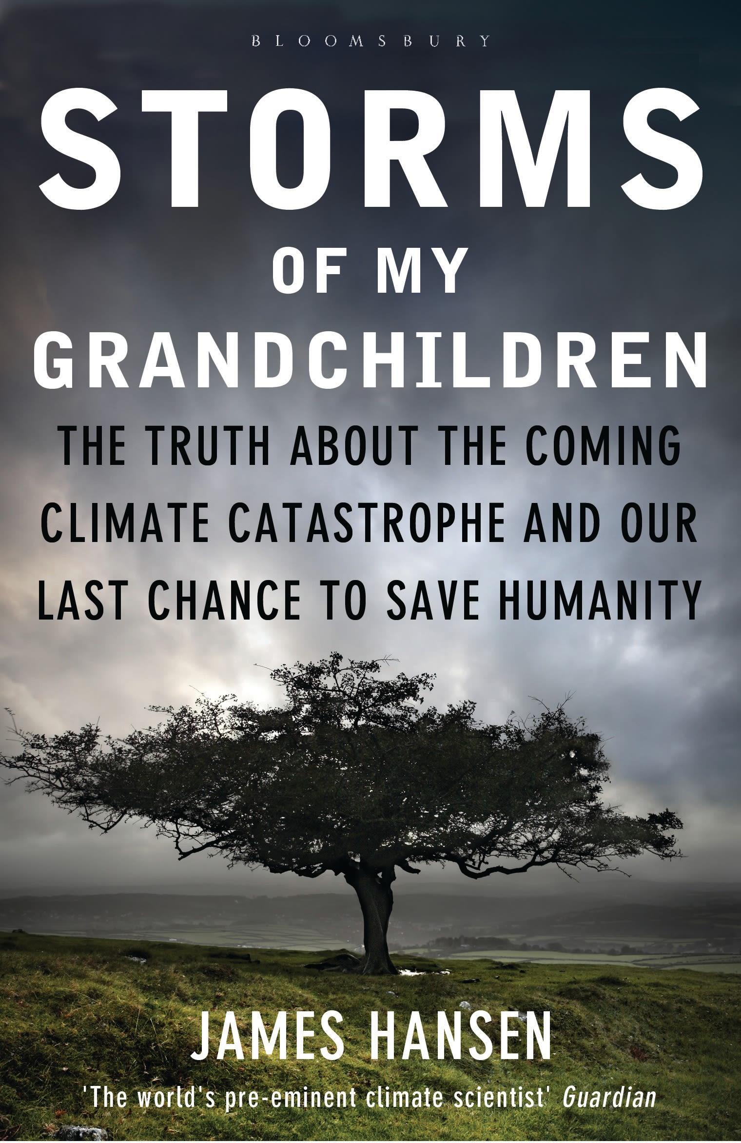 Vorderes Coverbild Storms of My Grandchildren