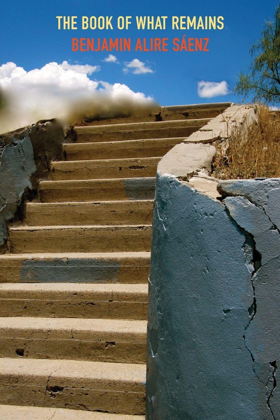 Vorderes Coverbild The Book of What Remains