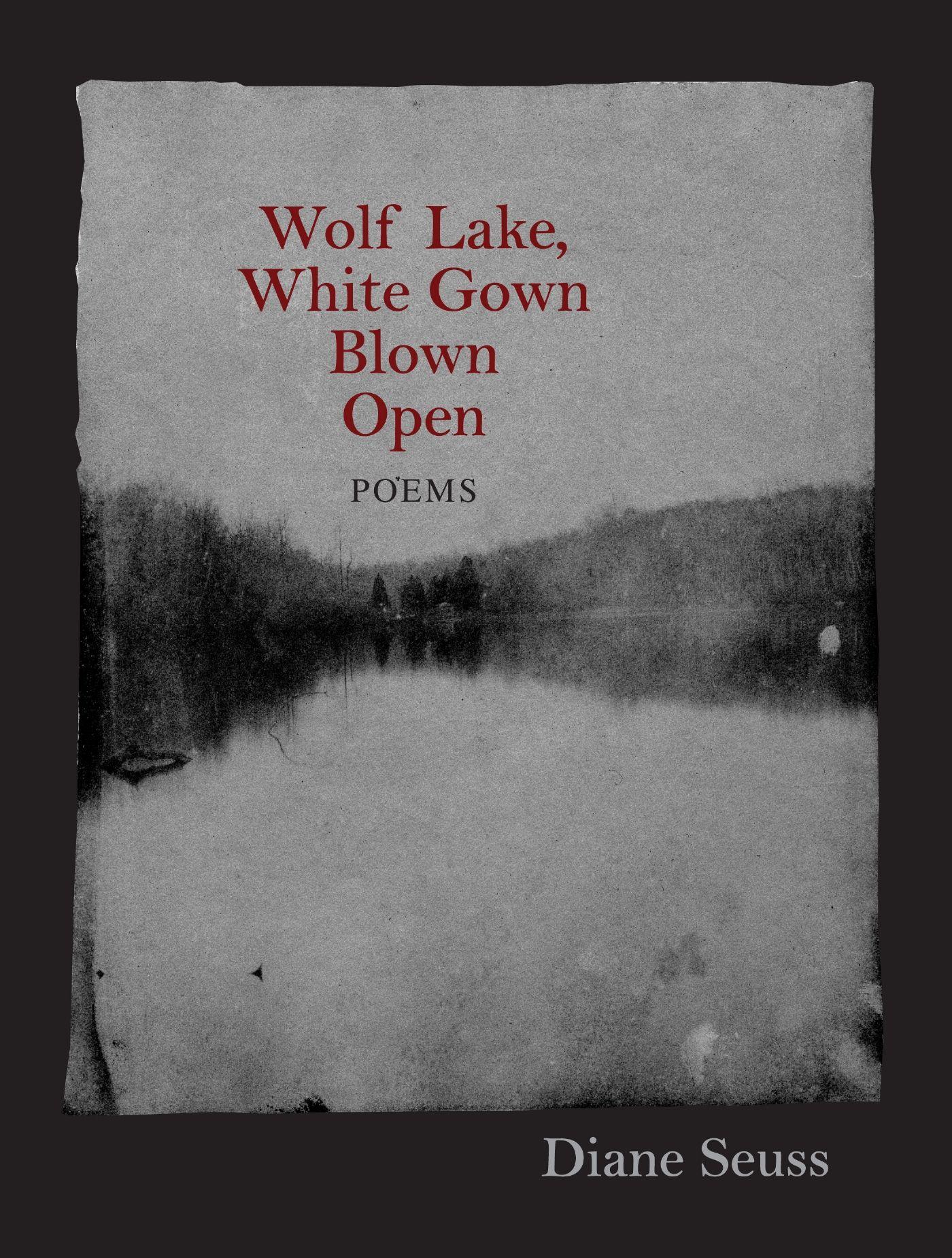 Vorderes Coverbild Wolf Lake, White Gown Blown Open