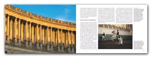 Beispielinhalt (Bild) Wien Panorama