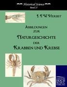 Vorderes Coverbild Abbildungen zur Naturgeschichte der Krabben und Krebse